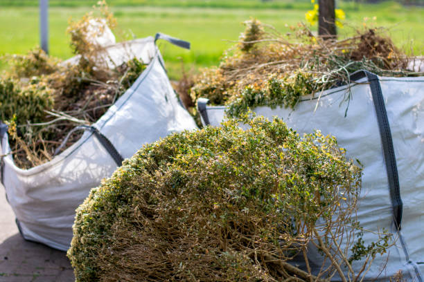 Best Same-Day Junk Removal  in Clintonville, WI
